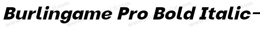Burlingame Pro Bold Italic字体转换